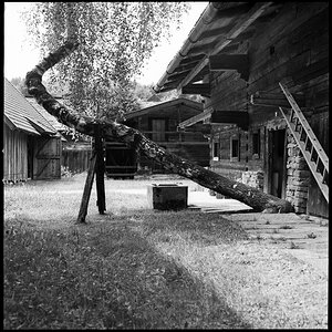 Der Weg
