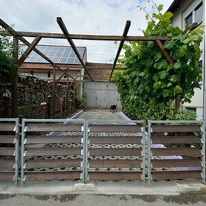 DSC 8921