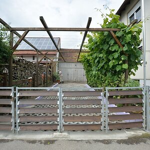 DSC 8924