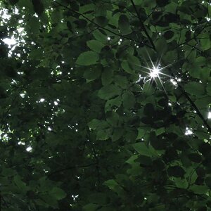 lichtpunkt