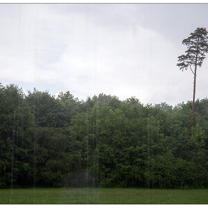 Regen