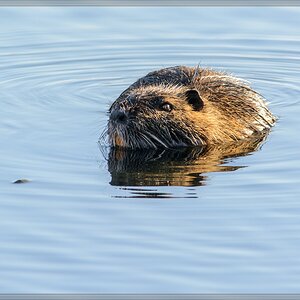 20150501 7578 [NIKON D7100] 500 mm,1 640 Sek. bei ƒ   8,0