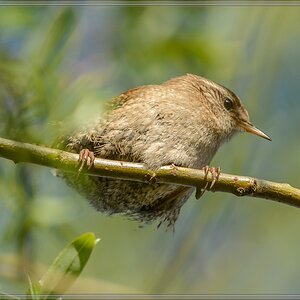 20150501 7675 [NIKON D7100] 500 mm,1 1000 Sek. bei ƒ   7,1