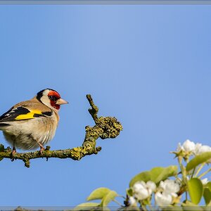 20150502 8014 [NIKON D7100] 500 mm,1 800 Sek. bei ƒ   8,0