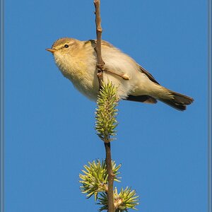 20150501 7433 [NIKON D7100] 500 mm,1 640 Sek. bei ƒ   8,0