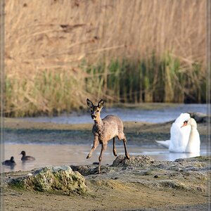 20150502 7915 [NIKON D7100] 500 mm,1 500 Sek. bei ƒ   8,0