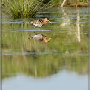 20150502 3907 [NIKON D4] 850 mm,1 2000 Sek. bei ƒ   8,0