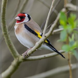 20150503 4040 [NIKON D4] 850 mm,1 250 Sek. bei ƒ   8,0
