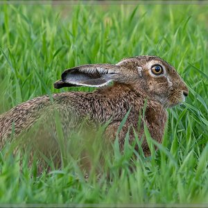 20150510 8392 [NIKON D7100] 500 mm,1 160 Sek. bei ƒ   8,0