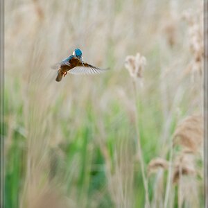 20150510 8235 [NIKON D7100] 500 mm,1 500 Sek. bei ƒ   8,0
