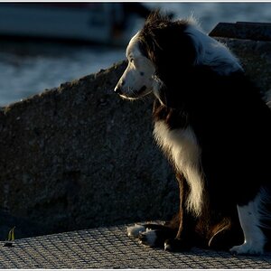 hugie gegenlicht