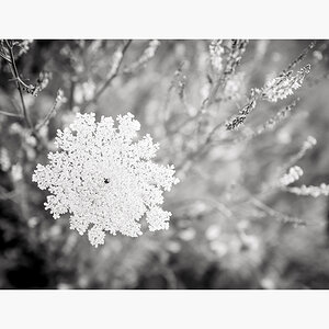 L1000915 Bearbeitet