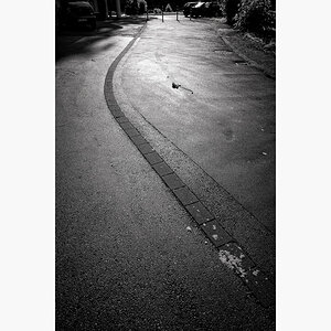 L1000127 Bearbeitet
