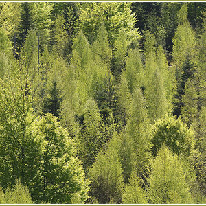 DSC 2905 Eyachtal 1000 R