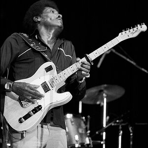 Albert Collins 1981 4