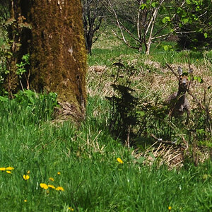 DSC 3904 Reh