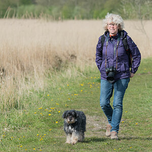 friesland 4