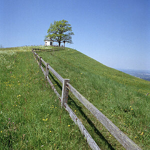 Bayern 51