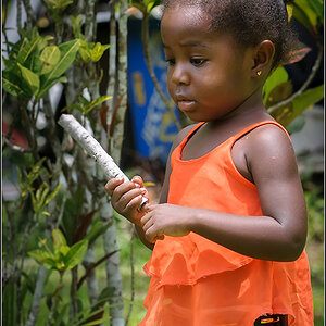 Costa Rica 2783
