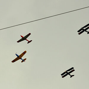 DSC 6395 Flieger