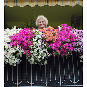 49700balkoniensommer08082015
