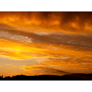 MorgenDSC 0778