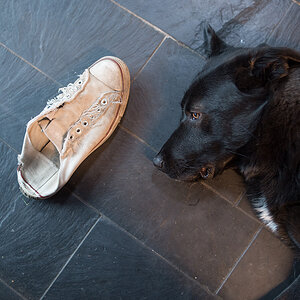 der schuh