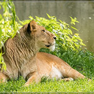20150808 1343 [NIKON 1 J5] 219.6 mm,1 250 Sek. bei ƒ   5,6