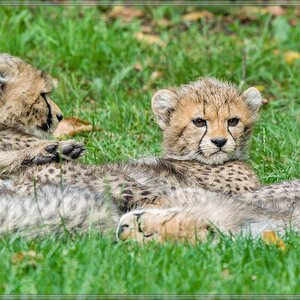 20150808 3510 [NIKON 1 V3] 300 mm,1 320 Sek. bei ƒ   4,0