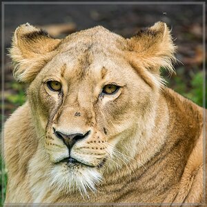 20150808 3570 [NIKON 1 V3] 300 mm,1 250 Sek. bei ƒ   4,0