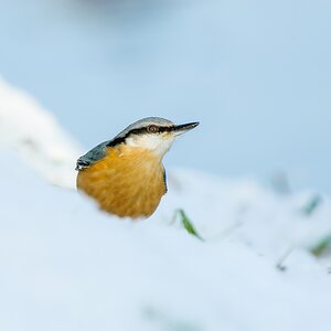 20101218 23554 [NIKON D2Xs] 550 mm,1 250 Sek. bei f   6,3 Bearbeitet