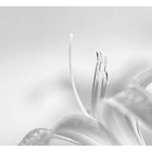 20150729 184917 3