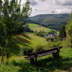 DSC 1126