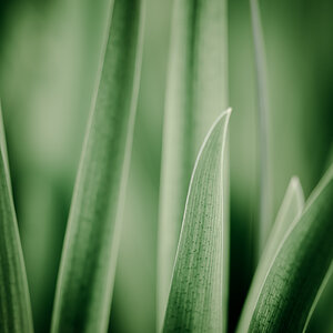 Bild LR5 .02. Mai 2015. .DSC 9728