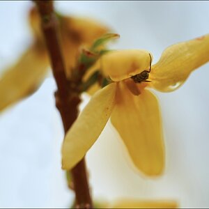 20150502 120024