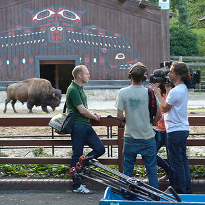 ZDF Interview im Berliner Zoo
Abendspaziergang