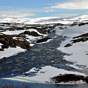 DSC 6262 Hardangervidda