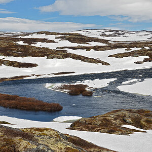 DSC 6269 Hardangervidda
