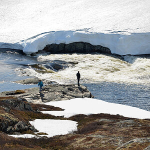 DSC 6272 Hardangervidda