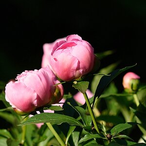 KR DSC 0824