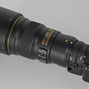 Nikon 1 J5 mit Nikon AF-S 300/4 PF