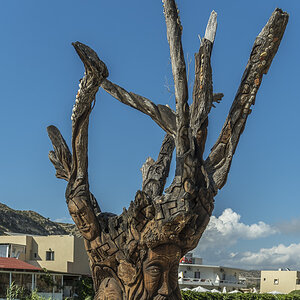 DHM0393