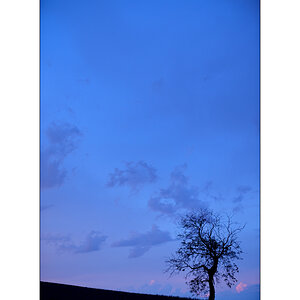 AbendPZ1 7053