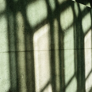 Shadows