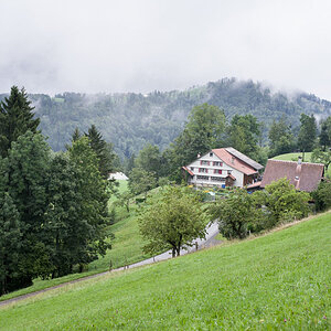 IMG5692 01