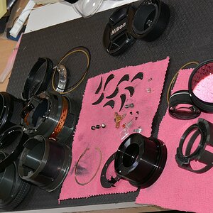 DSC 8814