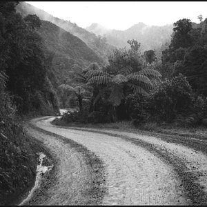 NZDiaScan 110819 0005