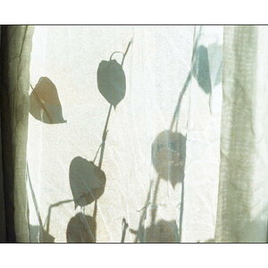 LichterLinienSchatten