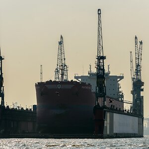 TZ ZIM 6564