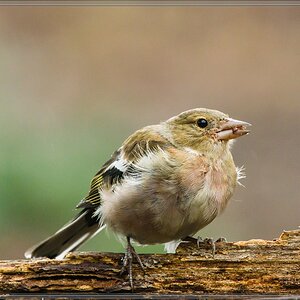 20150816 3970 [NIKON 1 V3] 420 mm,1 200 Sek. bei ƒ   5,6